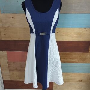 Love Navy and White Mini Dress